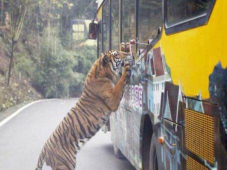 હેતુ છે વન્ય જીવનની જાણકારી