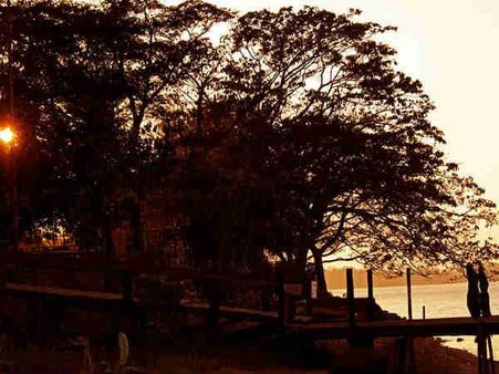 ઑસ્ટેરી