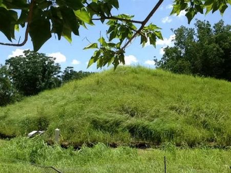 Bizarre : શું તમે તસવીરમાં છુપાયેલું એક વિશાયકાળ ઘર જોયુ?