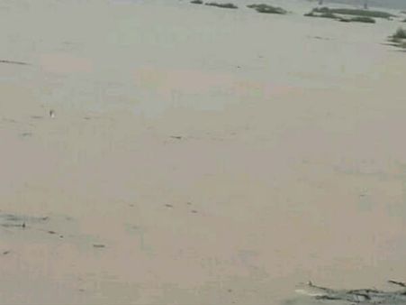 ગત વર્ષે