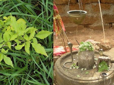 વિવિધ કાર્યપૂર્તિ માટે થાય છે શિવભક્તિ