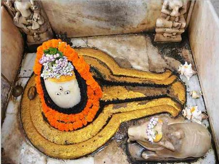 ધન-ધાન્ય અને આરોગ્ય