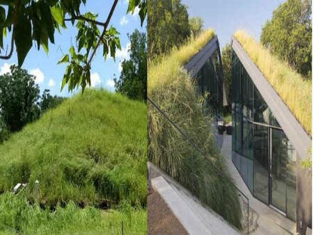 યુએસએના ટેક્સાસમાં આવેલુ ડુગઆઉટ હાઉસ