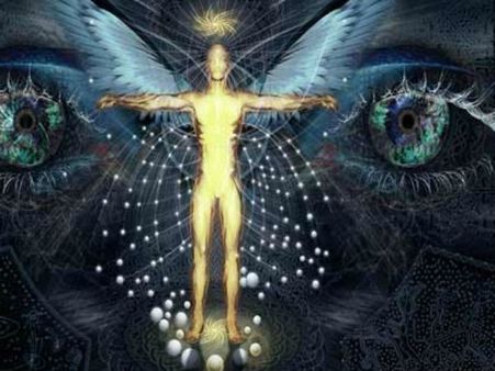 84 લાખ યોનીઓનું વર્ગીકરણ