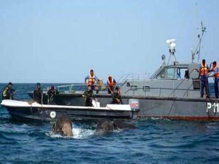 Video: દરિયામાં તણાઇ ગયેલ બે હાથીને નૌસેનાએ કઇ રીતે બચાવ્યા?