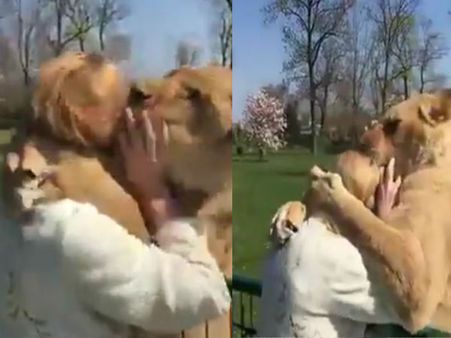 Video: સિંહોએ મહિલા તરફ દોટ મૂકી, તો મહિલા ડર્યા વગર ઊભી રહી