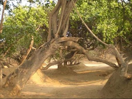 10 વર્ષ પહેલા 10 વર્ષ પહેલા