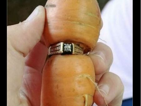 OMG : 13 વર્ષ પહેલા ખોવાયેલી વીંટી ગાજરમાં ફસાયેલી મળી