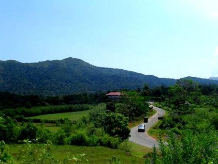 મુન્નારના હરિયાળા પહાડો 