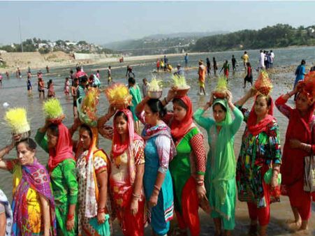 ઘંઉ અને જવ વાવો