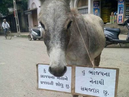 ચૂંટણી પહેલા ધોરાજીમાં ગધેડાના ગળામાં લાગ્યા આવા પાટિયા!