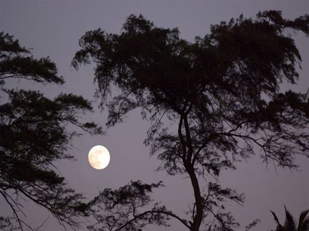 અસ્થમાં માટે વરદાન