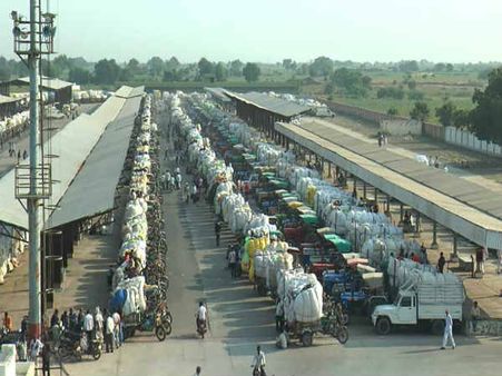 સરકાર સાંભળો: બોટાદમાં કપાસ ખેડૂતોને નથી મળતા ભાવ