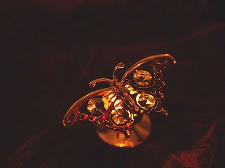 વૃષભ વૃષભ