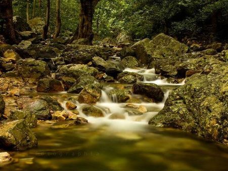 ટાડા ફોલ્સ, આંધ્રપ્રદેશ