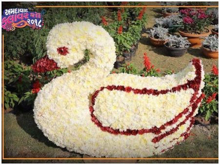 અમદાવાદની રોનક સાથે નવા વર્ષની મજા માણો, કંઇક આ રીતે