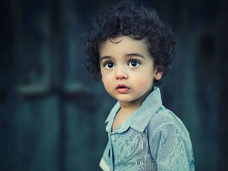 બુદ્ધિશાળી અને શાંત પ્રકૃતિ બુદ્ધિશાળી અને શાંત પ્રકૃતિ