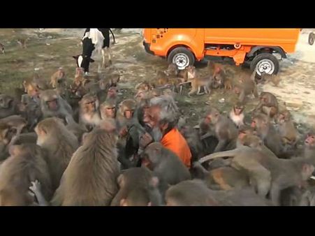 બીજાઓ પાસેથી માંગે છે ખાવાનું 