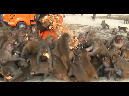 પત્ની આ કામથી છે નારાજ 