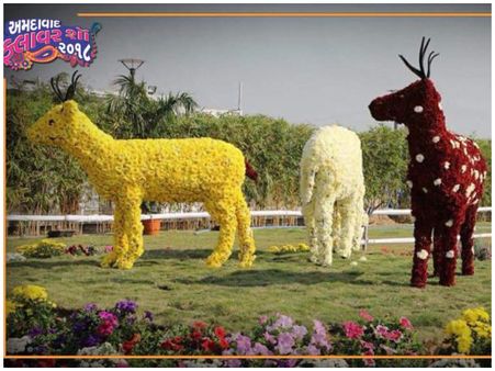 અમદાવાદ ફ્લાવર શો અમદાવાદ ફ્લાવર શો