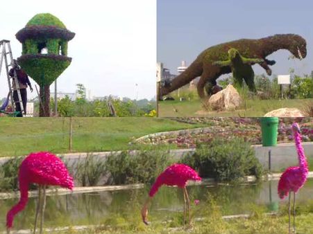 અમદાવાદમાં હેરિટેજ થીમ પર યોજાશે 11 દિવસનો ફ્લાવર શો