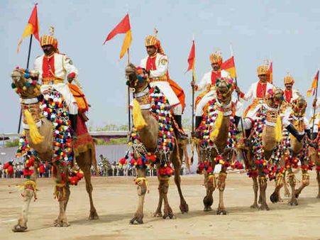 ઊંટોનું દળ