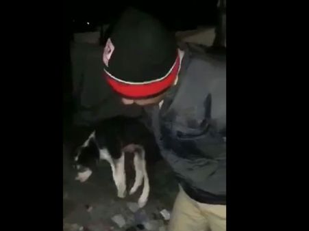 રાજકોટમાં પીસીઆર વાનના જવાને બચાવ્યુ ગલૂડિયું