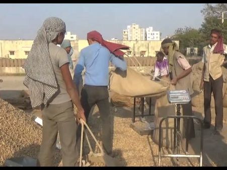 રાજ્ય સરકારે ટેકાના ભાવે મગફળી ખરીદતા, ખેડૂતો ખુશ