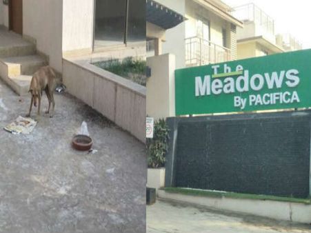 ગોકુલધામના રહીશો કુતરાના ત્રાસથી કંટાળી પોલીસ સ્ટેશન પર પહોચ્યા