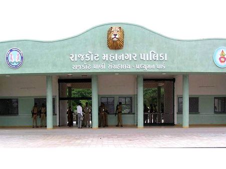 રાજકોટ: ઝૂમાં આવેલા એક્વેરિયમમાં જોવા મળશે માછલીઓનું વૈવિધ્ય