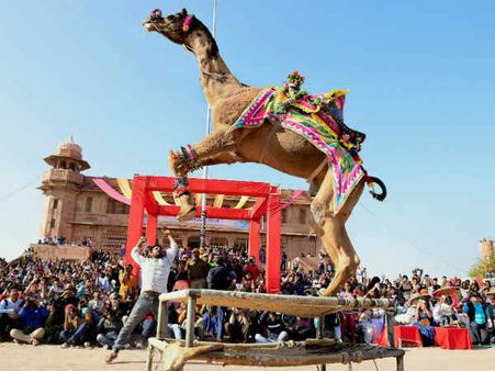 Photos : ઉત્તરાયણના આવા ફોટો તમે કદી નહીં જોયા હોય