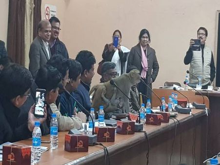 સરકારી બેઠકમાં અઢી કલાક અધિકારીઓ સાથે બેઠો વાંદરો