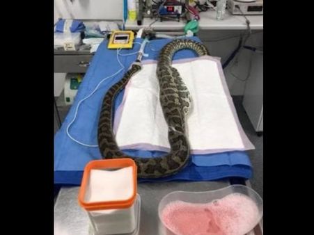 વાયરલ થઇ રહી ફેસબૂક પોસ્ટ