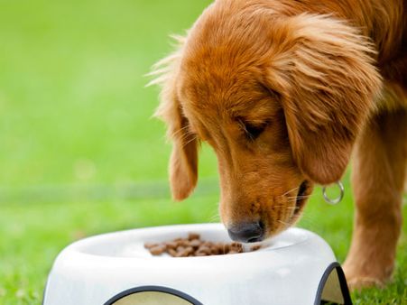 કેવી રીતે ઉતારશો નજર?