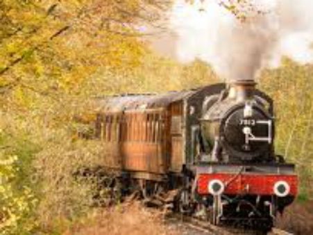 ગીરના જંગલમાં દોડશે હેરિટેજ ટ્રેન