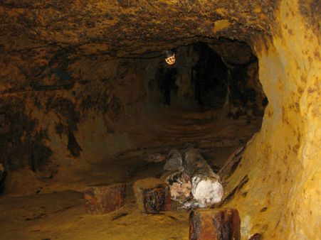 7. દક્ષિણ આફ્રિકા 