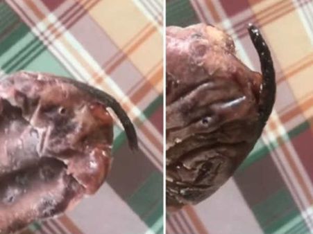 વીડિયો બનાવી દુકાનદાર પાસે પહોંચી