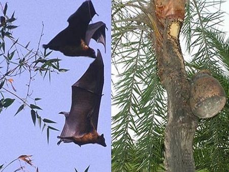 કાલીકટ યુનિવર્સિટીમાં પરીક્ષાઓ બંધ