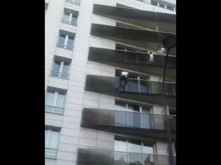 મામોડુ બની ગયો સ્પાઈડરમેન મામોડુ બની ગયો સ્પાઈડરમેન