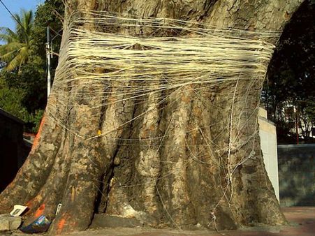 અખંડ સૌભાગ્ય રહેવાના આશિષ