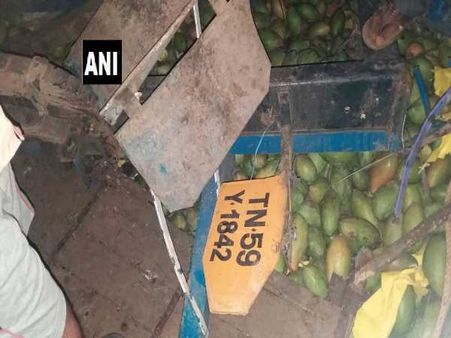 આંધ્રપ્રદેશ: કેરી ભરેલી ટ્રક ખાઈમાં પડી, 7 મૌત અને 20 ઘાયલ