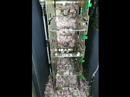 12,38,000 રૂપિયા રદ્દી બનાવી દીધા