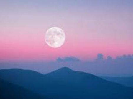 ધર્મ પણ કહે છે ઘણુ બધુ ધર્મ પણ કહે છે ઘણુ બધુ