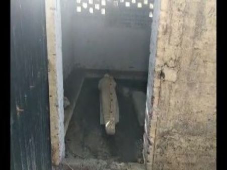 લવ મેરેજનો દર્દનાક અંત, મૃત્યુનું કારણ ભેંસ બની