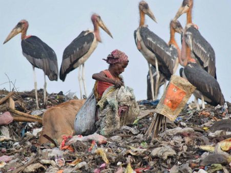 ભારત પર્યાવરણ દિવસનો યજમાન દેશ