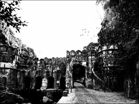 રણથંભૌર પોર્ટ