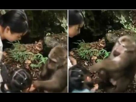 સોશિયલ મીડિયા પર વાયરલ થયો વિડીયો