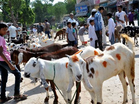 ત્યાગ અને સમર્પણનો તહેવાર છે બકરીઇદ