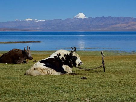 Kailash Mansarovar Yatra: ખરાબ હવામાનને કારણે સિમીકોટમાં 200 તીર્થયાત્રીઓ ફસાયા