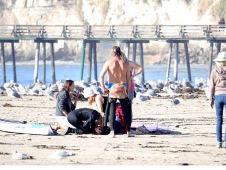 એન્ડી સ્ટેન્ફોર્ડ વિશ્વવિદ્યાલયમાં એનસ્થૉલજિસ્ટ છે એન્ડી સ્ટેન્ફોર્ડ વિશ્વવિદ્યાલયમાં એનસ્થૉલજિસ્ટ છે